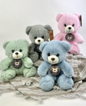 Small Teddy Bear